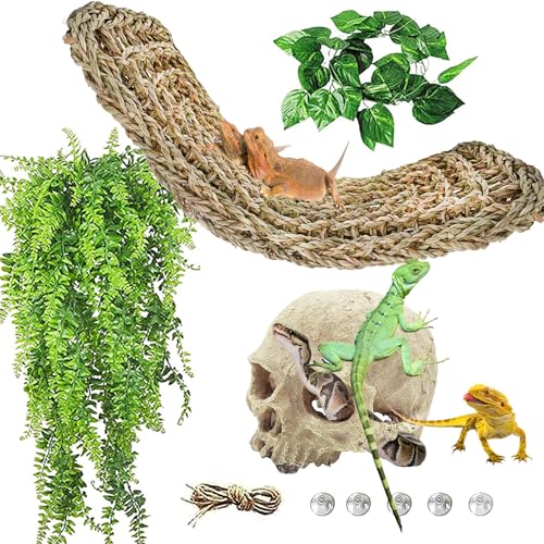 kathson Bearded Dragon Terrarium Skull Decoration, Reptile Tank Habitat Resin Human Skulls Hide Cave Hanging Vines Plants Accessories for Lizards Tortoise Chameleon Spider Reptiles Amphibians(4 PCS)
