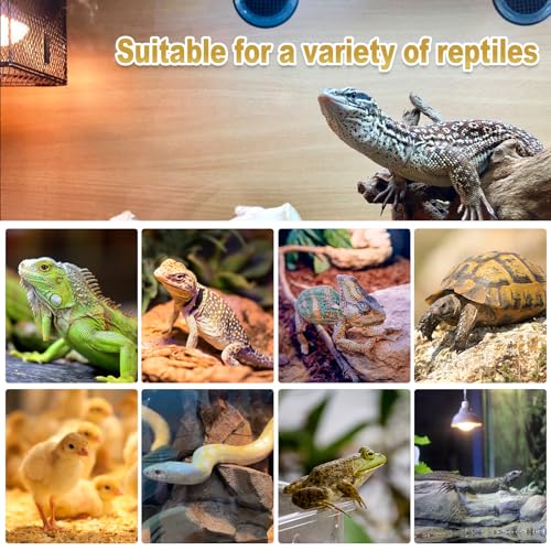 MIXJOY 75W Reptile Heat Lamp Bulbs, 2Pack Heat Lamp Bulbs for Reptiles Basking Bulbs UVA Daylight Basking Light Amphibians Heating Lamp Emitter for Lizard, Tortoise, Bearded Dragon Gecko, Chicken - style: 2Pack 75W