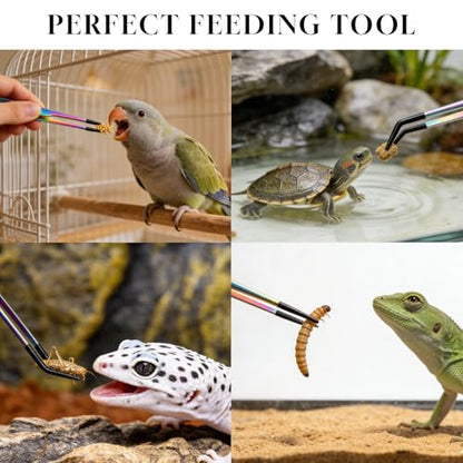 Reptile Feeding Tongs 2 Pack - 10.6 Inch Stainless Steel Straight & Curved Tweezers with Rubber Tips for Bearded Dragons, Lizards, Aquariums & Crafts - Terrarium Supplies