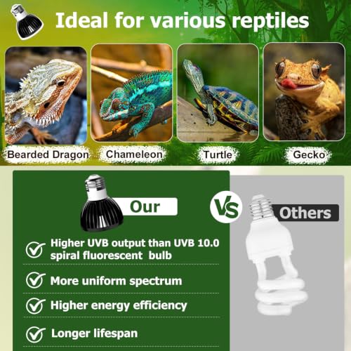 UVB Light for Reptiles with Anti-Glare Lens UVB Bulb 5W LED UVA UVB Reptile Light Bulb Soft Glow UVA UVB Lights for Turtle, Cameleon, Lizard, Bearded Dragon, Gecko 1 Pack