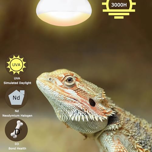 60W Reptile Heat Lamp Bulbs, Upgraded UVA Basking Spot Light | Simulates Natural Sunlight, Promotes Basking & Thermoregulation for Bearded Dragons, Lizards, Tortoises & Amphibians, 2 Pack - color: Basking Spot Lamp, size: 60W Upgraded - 2.5"