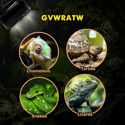 Reptile lamp, Maximum 160W Each Reptile hot lamp Comes with a Separate Switch, Suitable for Lizards, Turtles, Snakes, and Amphibians.