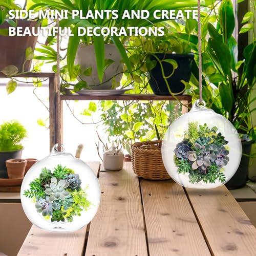 SUPVOX 6-Pack Hanging Glass Terrariums 4 Inch Orb Succulent Plant Holders with Rope for Indoor Outdoor Home Decor Tabletop and Wall Mounted Mini Garden Display