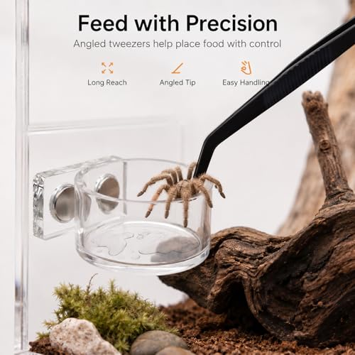 2 Pack Jumping Spider Feeding Dish – Acrylic Magnetic Water Bowl with Feeding Tong | Leak-Proof Tarantula Food Dish Small Reptile Water Dish | Jumping Spider Enclosure Accessories - color: 2 pcs