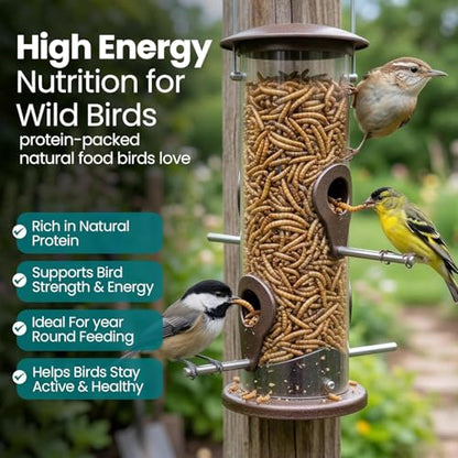 Dried Black Soldier Fly Larvae Chicken Feed 100% Natural Non-GMO, No Additives, Treat for Chickens, Reptiles and Birds, More Calcium than Mealworms for Wild Birds, Ducks, Laying Hens (2.5LBS)