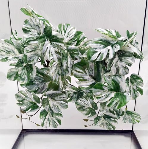 Reptile Plants for Terrarium, Reptile Tank Decor,Artificial Plants | Fake Plants for Ball Python Gecko Snake,Hanging Plant with Suction Cup,Amphibian Habitat Decor-2 pack - color: Monstera