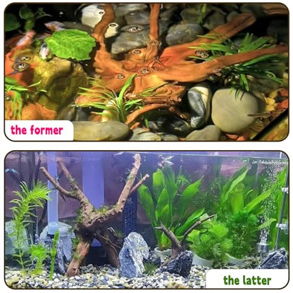 Hamiledyi 4PCS Driftwood for Aquarium 8-10in Natural Spider Wood Reptile Branches Fish Tank Log Ornament Aquarium Trunk Decoration - size: Spiderwood (8-10in 4PCS)