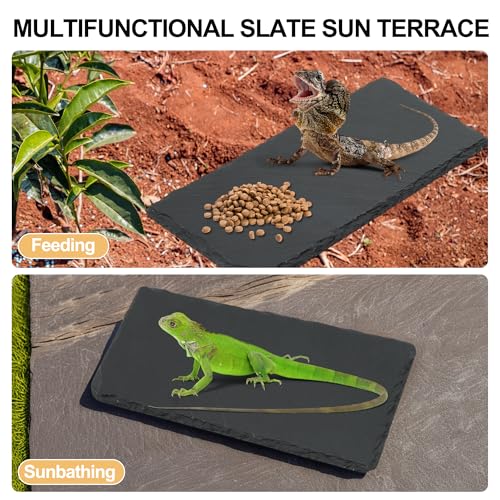Reptiles Slate Rocks, Basking Surface Reptile Basking Platform, Enhances Climbing Activity, 9.84"x4.72", Black Gray - size: 9.84"x4.72"