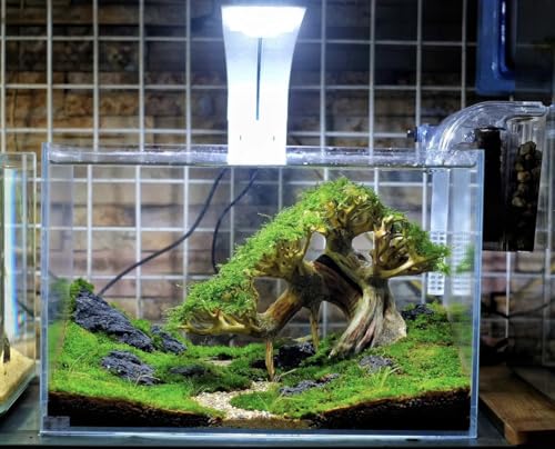 Azil Bonsai Driftwood Aquarium Tree for Aquarium Decor Fish Tank Decorations (10.1'' Length)