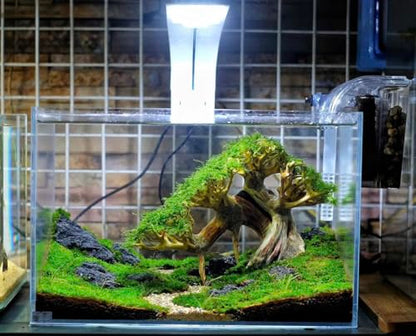 Azil Bonsai Driftwood Aquarium Tree for Aquarium Decor Fish Tank Decorations (10.1'' Length)