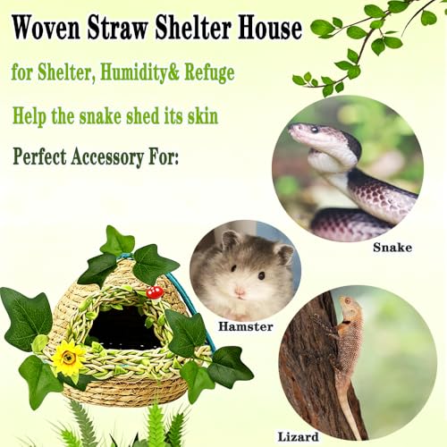 Reptiles Hide, Handcrafted,Reptile Cave Hideout Tank Accessories Decorations, Great for Reptiles, Amphibians, Snake，Leopard Gecko, Lizard
