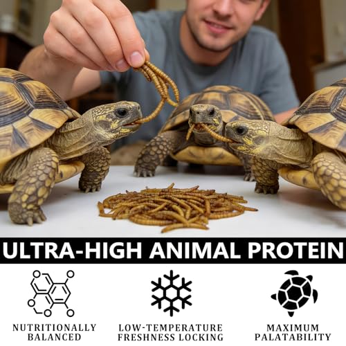 Dried Mealworms for Turtles & Reptiles, 4oz Canister - High Protein Turtle Food, Reptile Treats & Bearded Dragon Food - Natural Feeder Insects for Turtles, Lizards & Monitor, Frog, Chickens