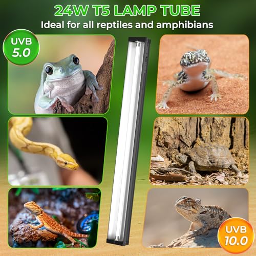 22’’ 24W T5 UVB Reptile Light Combo Kit Switchable UVB 5.0, 10.0 | for Tropical & Desert Reptiles, Reptile Lamp Terrarium Hood UVB Light for Bearded Dragon, Lizards, Snake, Chameleon, Turtle