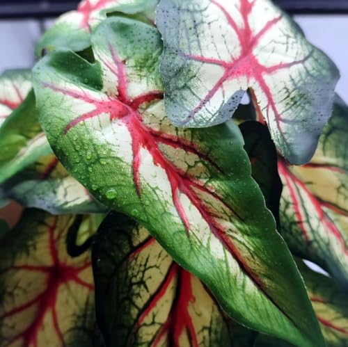 Reptile Plants for Terrarium, Reptile Tank Decor,Artificial Plants | Fake Plants for Ball Python Gecko Snake Enclosure,Hanging Plant with Suction Cup e,Amphibian Habitat Decor-2 pack - color: Alocasia Odora-a