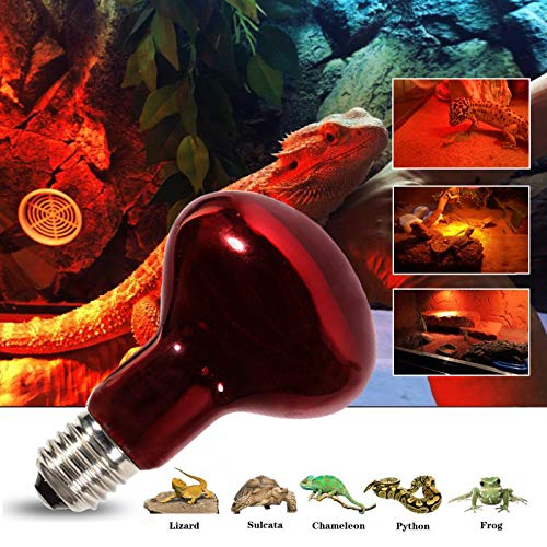 Infrared Heat Lamp Bulbs 75W 2 Pack,Red Basking Spot Light Bulb Reptile Heating lamp for Bearded Dragon,Turtle,Snake,Leopard Gecko,Chicked with Digital Temperature Thermometer - style: 75W(2 Pack)