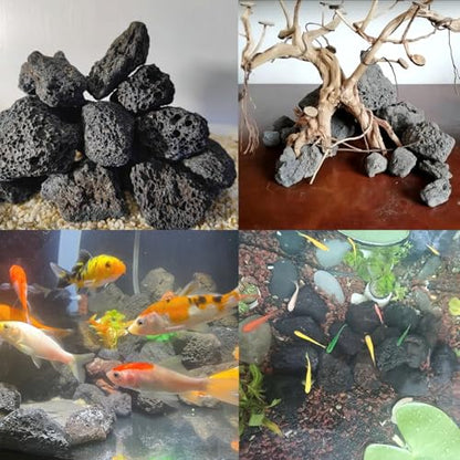 Tfwadmx 10 Pcs Aquarium Black Lava Rock Fish Tank Volcanic Pumice Stones for Fish Shrimp Betta(1.18''-1.96'') - color: Black, size: M:1''-2''