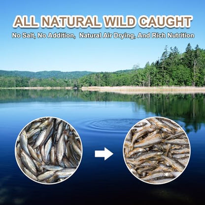 Dried River Fish Minnows, High-Protein Reptile Food, 5.5 oz | Single ingredient, no additives, whole-fish pieces, suitable for turtles, bearded dragons, tropical fish, amphibians and cats