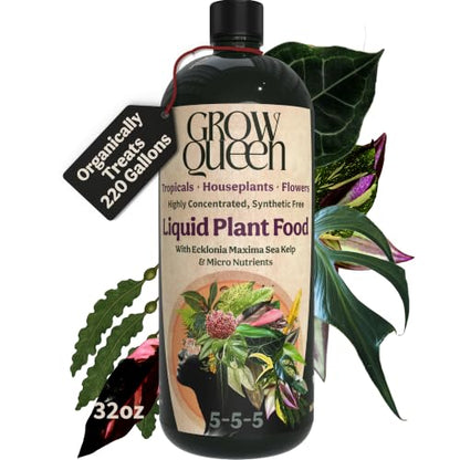 Organic Liquid Indoor Plant Food, Houseplant, Tropical & All-Purpose Indoor Plant Fertilizer, Organic Liquid Fertilizer 5-5-5 with Sea Kelp 32oz Treats 220 Gallons of Water - size: 32oz