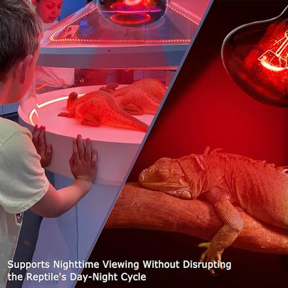 60W Infrared Red Reptile Heat Lamp Bulb, Basking Spot Light | Red Heat Emitter, Provides Gentle Heating for Reptiles, Bearded Dragons, Lizards, Snakes & Terrariums, E26 Base, 2-Pack - color: Red-infrared Heat Lamp, size: 60 Watts