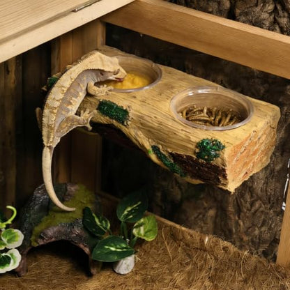 Tfwadmx Magnetic Reptile Feeder Ledge, Gecko Feeder Ledge with 6 Cups Reptile Feeding Bowls Food Dish Water Bowl Tank Accessories for Lizards Chameleons Frog - color: Yellow