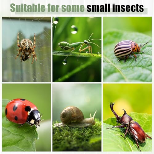 Pre-Assembled Jumping Spider Enclosure 3x3x6 Inch Acrylic Spider Cage Insect Terrarium Bug Enclosure Tarantula Enclosure Reptile Terrarium for Snail, Mantis, Lizard, and Small Reptiles