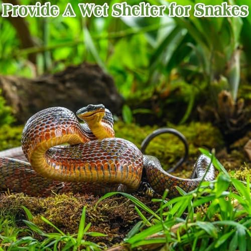Sphagnum Moss for Reptiles, 1.1 lb Natural Terrarium Substrate Bedding | Long-fibered Sphagnum Moss for Reptile, Holds Humidity for Bearded Dragons, Geckos, Snakes, Turtles, and Hermit Crabs - size: 1.1 LB