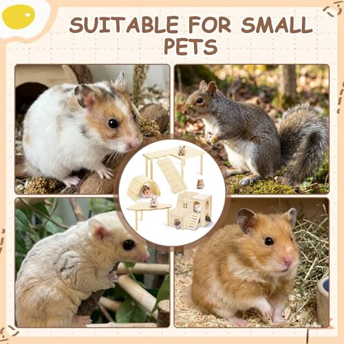 BreezeHug 4 Pcs Hamster Cage Accessories Hamster Platform Hideout Wooden Tunnel Ladder Playhouse Game Climbing Toy with Platform for Pets Dwarf Syrian Mice Degus Gerbils Squirrel(Loft) - style: Loft
