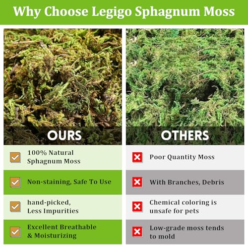 3.5OZ Natural Sphagnum Moss for Reptile Terrarium Substrate Bedding | 4QT High Expansion, Moisture Retention, Helps Shedding, Long Fibers Dried Moss for Leopard Gecko, Snake, Frog, Turtle - size: 3.5 OZ
