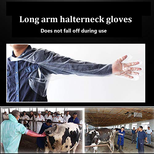 Halter Disposable Artificial Insemination Gloves Veterinary Gloves Shoulder Length Disposable Cow Palpation - color: Clear