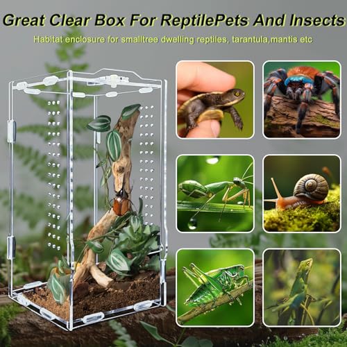 Micro Habitat Acrylic Reptile & Tarantula Enclosure, Small Tree Dwelling Reptiles, Amphibians, Spiders & Other Invertebrates - size: 8 * 8 * 14 inch
