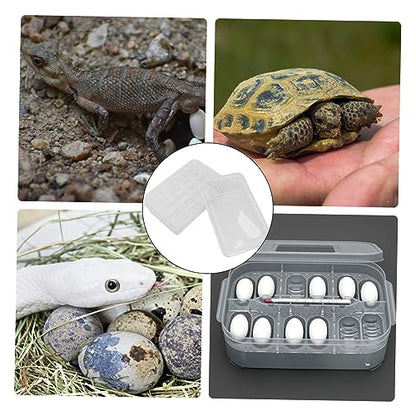 GALPADA 20grids Hatching Incubation Box for Reptiles Plastic Widely Used for Snakes Lizards Geckos and More Improve Incubation Rate