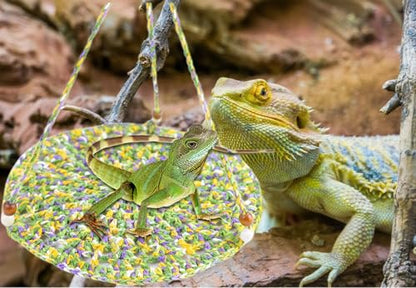 Reptile Hammock Essential for Bearded Dragon, Hanging Bed for Lizard, Gecko, Chameleon, Hamster & Small Pets