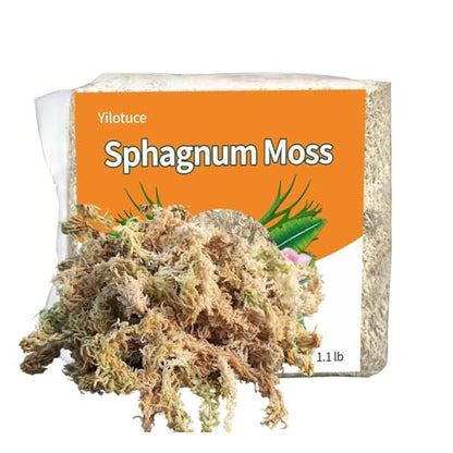 1.1 lb Sphagnum Moss for Plants, Carefully Selected Clean Sphagnum Mos for Rooting Plants - size: 1.1 lb