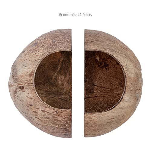 2 Pack Natural Coconut Reptile Hideouts, Lizard, Spider and Aquarium Fish Hide Cave (Smooth Surface) - color: Smooth Surface