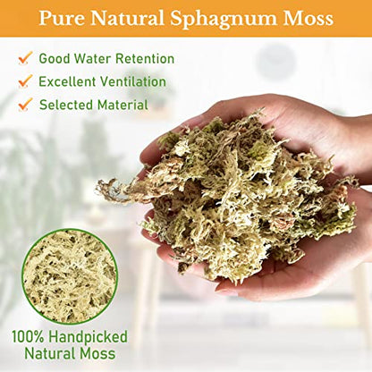 Riare 10OZ Premium Sphagnum Moss for Plants- Natural Long Fiber Plant Moss | High Expansion, Moisture Retention & Drainage, Dried Orchid Moss for Succulent, Carnivorous, Ferns, Reptiles & Terrariums - size: 12QT/10oz
