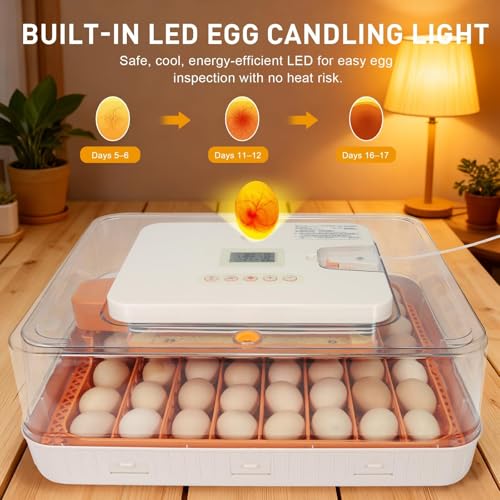 Nest IV - 56 Egg Incubator for Breeders, Fully Automated, Accurate Humidity & Temp Control, Chick Separator, Flexible Egg Spacing, Custom Incubation Days, Auto Turning & Auto Stop, Easy Monitoring - size: 56 Egg [Gray]