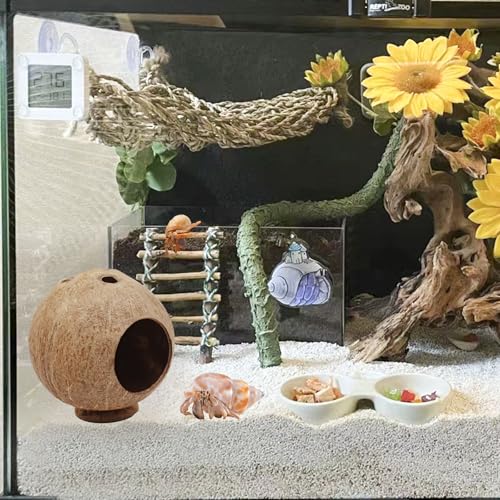 Hermit Crab Accessories, Natural Coconut Habitat Hide with Base, Reptile Tank Accessories, Coconut Hide, Habitat Hideout for Hermit Crab, Tarantula, Gecko and Other Small Animals