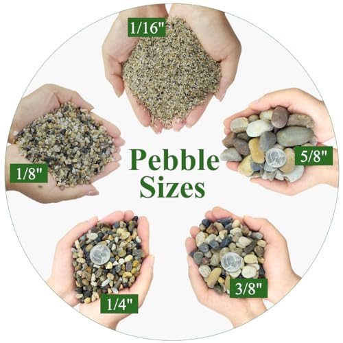 5lbs Aquarium Gravel, 1/8"(2-4mm) Natural River Rocks | Succulent Cactus Pea Gravel for Plants, Fish Tank, Decorative Pebbles for Gardening, Flower Pots, Vase Fillers, Landscaping - size: 1/8 Inch