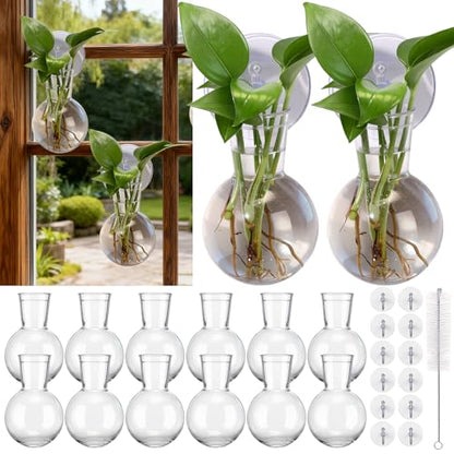 12 Pack Window Propagation Stations Plastic Wall Hanging Planter with Suction Cups Brush Window Suction Plant Holder Vases Tubes Terrarium for Home Office Decor (Bulb)