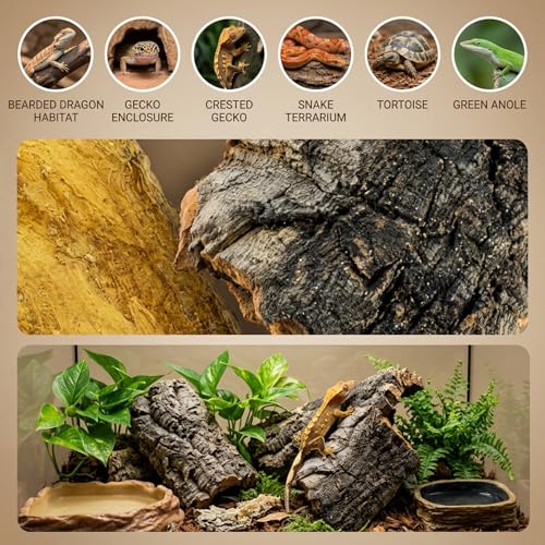 7PCS Cork Bark for Reptiles, Habitat Decoration Set, Reptile Terrarium Climbing Accessories, Five Small and Two Medium Champagne Cork Bark Hide