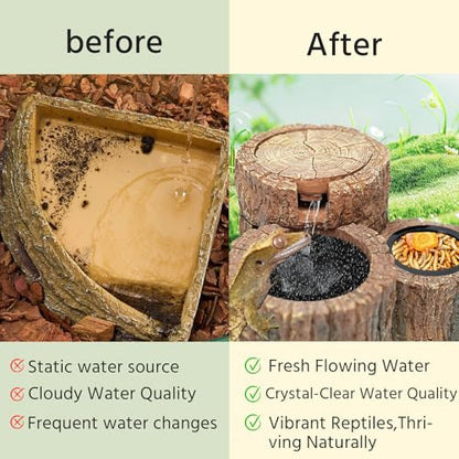 550ML Reptile Water Fountain with Food Dish – Terrarium Drinking Fountain for Bearded Dragon, Gecko, Chameleon, Lizard, Tree Frog & Turtle – Keeps Water Clear, Easy-to-Use Water Dispenser