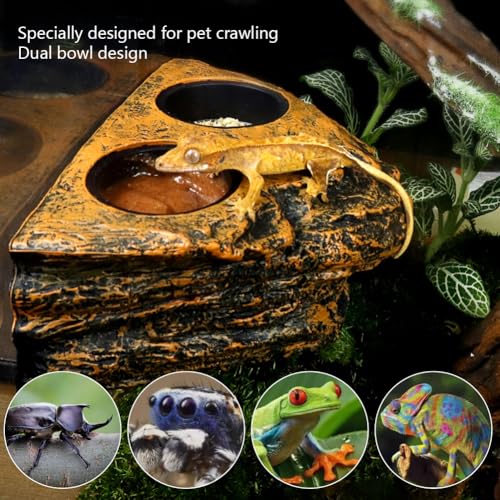 La La Pet®Magnetic Reptile Feeder Ledge with 4Pcs Cups Crested Gecko Feeding Bowls Removable Fruit Mud Basin for Bearded Dragon Snake Lizard Chameleon
