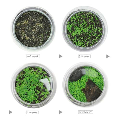 Water Terrarium Kit with 5.9” Glass Bowl, Substrate and Seeds | Create Your Own Indoor Garden | DIY Complete Set for Simple, Stunning Growth Unique Gift for Nature Lover | Desktop Decor - size: 5.9" H - 5.9" W
