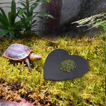 Reptile Basking Platform, 10 × 10 inch Tortoise Rock Plate, Heart Shape Natural Rock Reptile Food Dish, Turtle Feeding Bowl, Habitat Decor for Bearded Dragon Chameleon Frog Lizard Gecko Hermit Crab - size: M - 10 × 10 inch