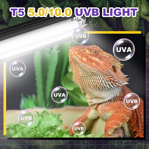 T5 HO UVB Lighting Combo Kit, Reptile Light Fixture, 24W 5.0 UVB | Fluorescent Light Bulb, Tropical Light for Reptile and Amphibian, Basking Light for Bearded Dragon, High Output Natural Light - style: 24.00 Watts