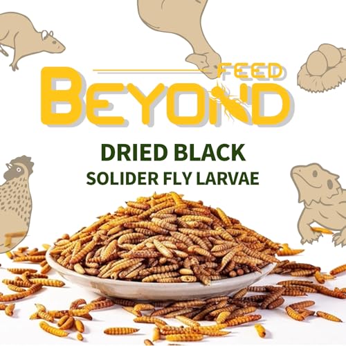 BeyondFeed™ Dried Black Soldier Fly Larvae - Nutrient-Rich, Sustainable Feed for Chickens, Ducks, Birds, Reptiles, Fish, Hamster, Turtles and More (1 Bottle (35g/ 1.23oz)) - size: 11 Ounce (Pack of 1)