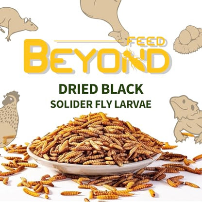 BeyondFeed™ Dried Black Soldier Fly Larvae - Nutrient-Rich, Sustainable Feed for Chickens, Ducks, Birds, Reptiles, Fish, Hamster, Turtles and More (1 Bottle (35g/ 1.23oz)) - size: 11 Ounce (Pack of 1)