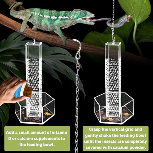 Chameleon Feeding Bowl, Hanging Transparent Acrylic Bearded Dragon Feeder, Hookable Lizard Feeder, Column for Insects to Climb Suitable for Lizard, Iguana, Gecko,Bearded Dragon
