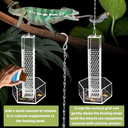 Chameleon Feeding Bowl, Hanging Transparent Acrylic Bearded Dragon Feeder, Hookable Lizard Feeder, Column for Insects to Climb Suitable for Lizard, Iguana, Gecko,Bearded Dragon