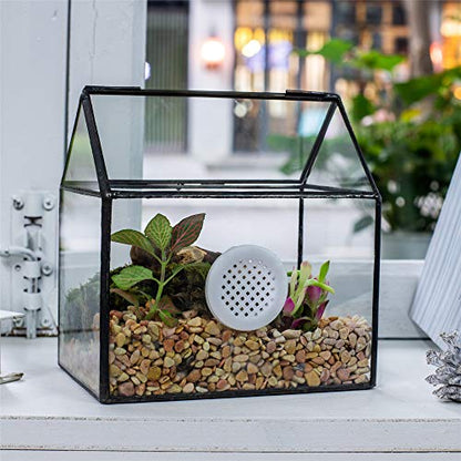NCYP Small Glass Terrarium with lid for Air Plants Succulent - 5.9x4.4x6.4 Inches Handmade Geometric House Shape Close Glass Box for Snail, Black Tabletop Container (Glass Box Only)